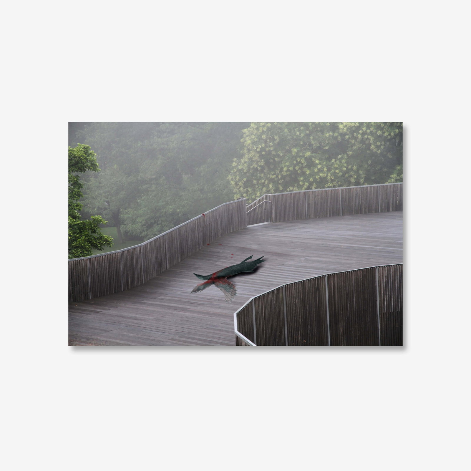 Renate Bertlmann, Rape – Triptychon